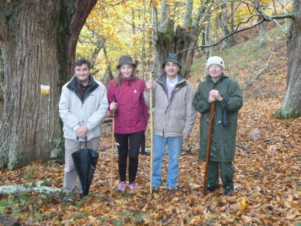 Quintá, 22 de noviembre. El Sendero de Quintá-Río Donsal, promovido por la Asociación Castaño y Nogal, sigue concitando el interés de los amantes de la naturaleza y el paisaje multicolor de las hojas de los árboles y vegetación autóctona de la cuenca de los ríos Donsal y Navia por el que discurre esta bonita y atractiva Ruta, interés que ya traspasa fronteras, y, por supuesto regiones.  A los numerosos grupos de senderistas que lo están recorriendo el presente otoño, se suma el de autoridades, personalidades y miembros de honor de CyN. El pasado fin de semana recibió la visita, con recorrido íntegro, del Subdelegado del Gobierno en Lugo, Ramón Carballo Páez, que lo hizo por segunda, vez en varios de sus tramos, tras hacerlo el pasado mes de agosto con ocasión de la visita a los voluntarios de la tercera edición del Campo de Trabajo Internacional y cooperantes locales y regionales.   Miguel Cela, Carmen, Ramón Carballo y Ángel Camino, en la bajada de O Couso a Quintá. Foto Antonio Álvarez  En el recorrido, Ramon Carballo, estuvo acompañado además de por su esposa Carmen, por el Jefe Provincial de Montes de Medio Rural, Miguel Cela González, y los Miembros de Honor de CyN, Ángel Camino Copa y Julio López Mouriño, además del presidente de la asociación, Antonio Álvarez, entre otros.  Durante el recorrido, iniciado en la cabecera en O Couso, a las 10:10 horas, con finalización en a ponte de Cabana, sobre el río Navia, Ramón Carballo y su esposa demostraron estar en plena forma física, al ir siempre en cabeza y a un paso que a los demás acompañantes les costaba seguir, al extremo tres de ellos dejaron de hacer el tramo Buisán – Arroxiña – Cabana, cuando la lluvia arreciaba, que tampoco importó a Ramón y Carmen.   Miguel Cela, Ramón Carballo, Antonio Álvarez, Ángel Camino y Julio López, en A Móa, antes de acceder al souto y prados de Quintá, camino de Sevane  El recorrido finalizó con una comida de confraternización en una casa en rehabilitación, del siglo XVII, en Buisán, en un ambiente entrañable y familiar, con el propósito de volver a reunirse y recorrer todo o parte del Sendero, fotografiando e inventariando, con más tiempo, riquezas etnográficas y naturales de la Ruta, como construcciones típicas, ouriceiras, castros, castaños milenarios y centenarios, cascadas, prados rodeados de bosque que semejan campos de fútbol olímpicos, paisajes multicolores de su variada masa forestal, todo ello en un entorno de silencio solo interrimpido -a tramos- por el ruido del agua de los ríos Donsal y Navia, a lo que el presidente de CyN llama “sinfonías del agua”, especialmente en la Fraga de Valiñas, Cascada de Sevane, prados de A Cortella y camino de Arroxiña a Cabana.  Unos y otros coinciden en que esta Ruta no es casualidad que fuera antigua Vía Romana en la Edad Media o Camino Real, protegida, lugar de tránsito de Castilla a Galicia, de encuentro en y bifurcación de caminos históricos.  Gracias pues a los senderistas, a los dirigentes de asociaciones y clubes de senderismo que incluyen esta Ruta para sus recorridos, a los amantes de la naturaleza por respetarla y disfrutara, a las autoridades y personalidades que también lo hacen poniendo en valor lo hecho por voluntarios y cooperantes, este ejemplo, exportable a cualquier otro entorno rural en Europa.   Más información en página web http://www.asociacioncastanoynogal.com/sendero.html o en https://www.google.es y sendero de quintá-río donsal, wikiloc.com  José Ramón Vázquez Liñeiro,  Socio Emérito y Miembro Comisión Organizadora Campos de Trabajo Internacional