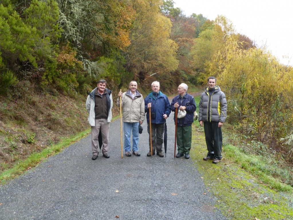 Miguel Cela, Ramón Carballo, Antonio Álvarez, Ángel Camino y Julio López, en A Móa, antes de acceder al souto y prados de Quintá, camino de Sevane