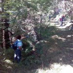 Voluntarios trabajando en la limpieza de la Ruta Quintá-Río Donsal