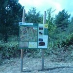 Entorno del cartel de la ruta en Buisán, tras la limpieza de maleza.