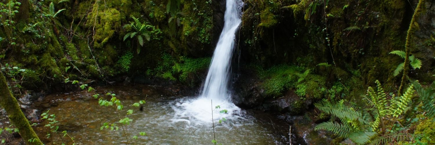 SENDERO QUINTÁ - RÍO DONSAL