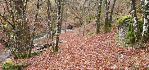 LA RUTA DEL RÍO DONSAL: UN PROYECTO PRECURSOR, SUSTENTADO EN LOS PATRIMONIOS LOCALES Y EL TRABAJO CON PASIÓN