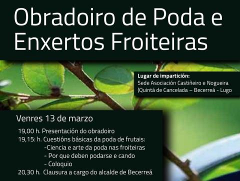 II OBRADOIDO DE PODA DE FRUTAIS EN QUINTÁ