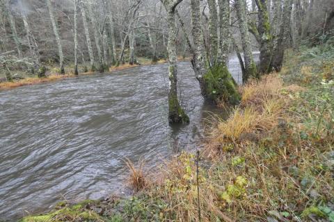 HACIA UNA DECLARACIÓN UNIVERSAL DE LOS DERECHOS RURALES (DUDR)