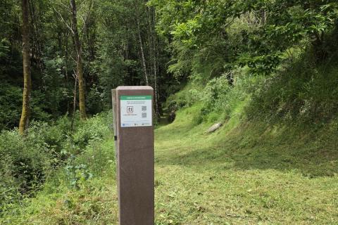 DONDE EL MUSGO GUARDA LA MEMORIA Y LAS MANOS DAN FORMA AL SENDERO