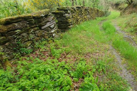 Del menosprecio a la orografía, patrimonios naturales y paisaje con líquenes al entrenamiento de élite y ser ámbito de investigación del fenómeno senderista