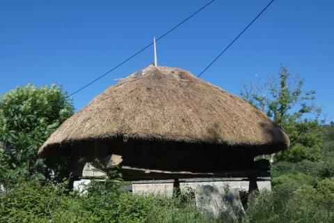 CATEDRÁTICOS DE LA UNIVERSIDAD DE HAMBUGO VISITARON CANCELADA ANTES QUE CARGOS Y TÉCNICOS DEL ESTADO, DEPUTACIÓN Y XUNTA
