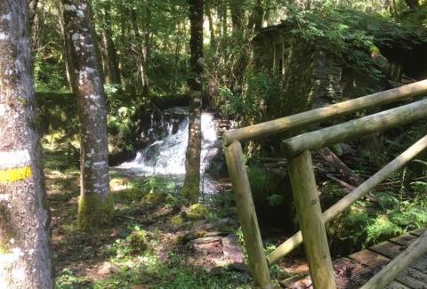 Trabajos de conservación y limpieza en el Sendero Quintá-Río Donsal 