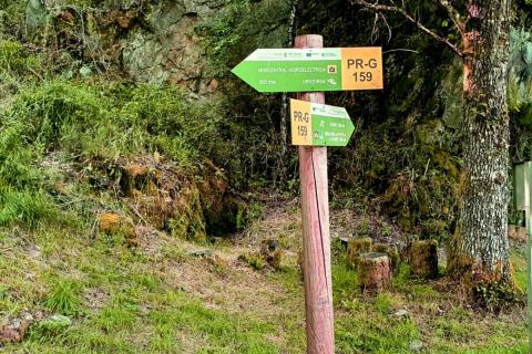 EL SENDERO QUE ENSEÑA A LEER EL BOSQUE