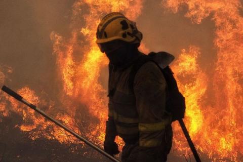 Nula acción en labores de prevención de incendios forestales de medio rural y gasto ilimitado en contratación de hidroaviones