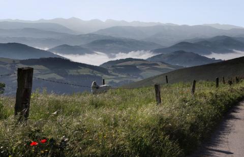 A LAS AUTORIDADES COMPETENTES  EN MEDIO AMBIENTE, PATRIMONIO NATURAL, CULTURAL Y MEDIO RURAL DE GALICIA Y PROVINCIA DE LUGO 