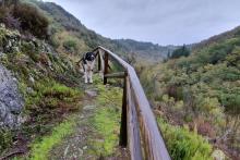 LOS JÓVENES Y LA ASOCIACIÓN QUE HICIERON GIRAR LA RESIGNACIÓN EN OS ANCARES