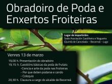 II OBRADOIDO DE PODA DE FRUTAIS EN QUINTÁ