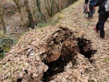 Eliminados los obstáculos y reparados los daños producidos por el temporal y el jabalí en la Ruta Quintá-Río Donsal 