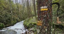 RECURSOS NATURALES, PAISAJÍSTICOS Y CONFESIÓN CON UN CASTAÑO