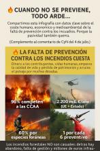 DEFINIRSE ANTE LOS INCENDIOS, SUS CAUSAS Y FALTA DE PLAN FORESTAL