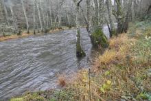 HACIA UNA DECLARACIÓN UNIVERSAL DE LOS DERECHOS RURALES (DUDR)