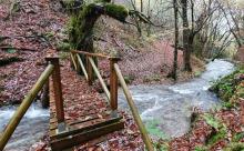 EL FALLO DEL JURADO DEL PREMIO AL PAISAJE RECONOCE LOS EFECTOS AMBIENTALES DEL PROYECTO Y EL ESFUERZO REALIZADO POR CASTAÑO Y NOGAL