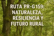 PLANTACIONES SIN PLAN = INCENDIOS SIN CONTROL