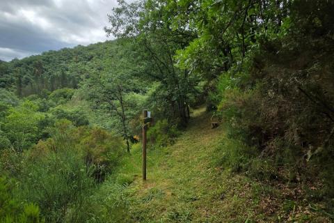 ESPAÑA ARDE. LA PREVENCIÓN NO LLEGA AL TERRITORIO: ¿Quién controla lo ejecutado y quién investiga lo omitido?