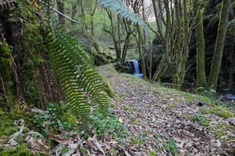 PIEZA DE CINE MUDO PARA CyN: Canteros contra la resignación