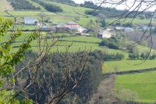 DONDE EL RUIDO NO MANDA: Cancelada y Donsal, en Os Ancares Lucenses: una opción habitable ante la crisis de salud mental