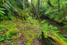 EL PAISAJE Y LA SALUD PÚBLICA EMPIEZAN ANTES DE LA EMERGENCIA