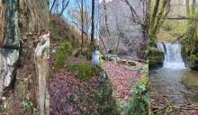 CINCO VOCES EN LA LAREIRA (Auto de Nadal en Quintá de Cancelada — Os Ancares)