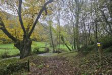 OBRA DE LAS PENDIENTES: Una película sin sonido en Os Ancares (cine mudo)