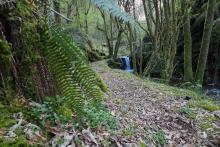 PIEZA DE CINE MUDO PARA CyN: Canteros contra la resignación